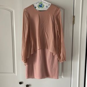 BCBG maxazria shadow blush colored dress with sheer sleeves